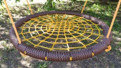 IMG_20240523_165418