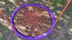 IMG_20240523_170428