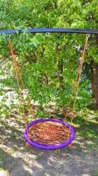IMG_20240523_170445